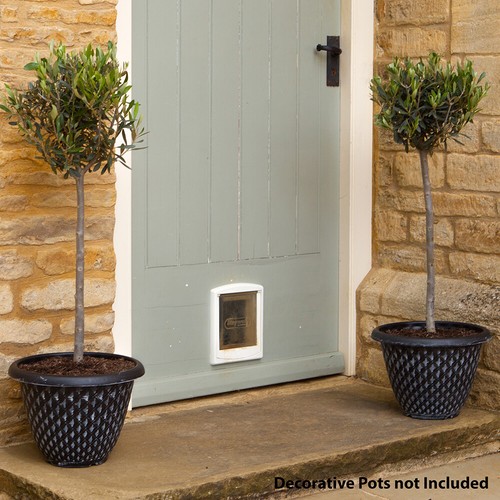 Olive std 100cm 18cm - 18cm, pot