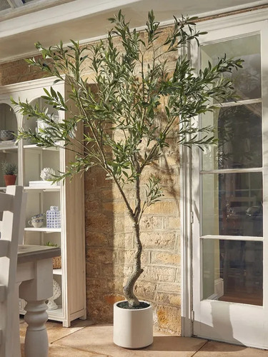 Faux potted fruiting olive - faux,