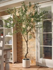 Faux Potted Fruiting Olive