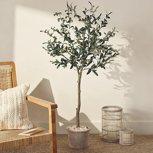 The white company olive potted - white,