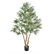 Uimoso 180cm Artificial Olive