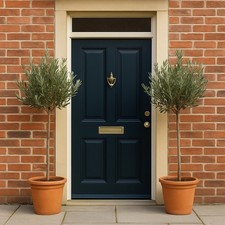 🫒 2x Standard Olive Trees